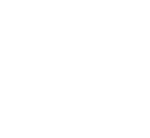 healbridge-dots