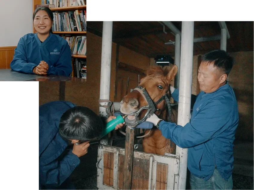 Trained Veterinary Care Is Essential